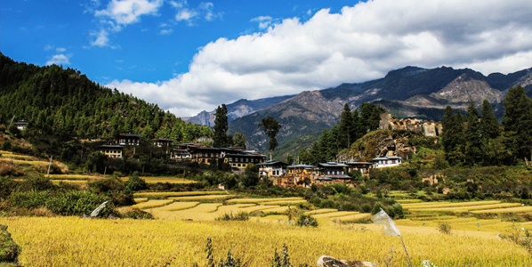 Bhutan Gangtey Trek